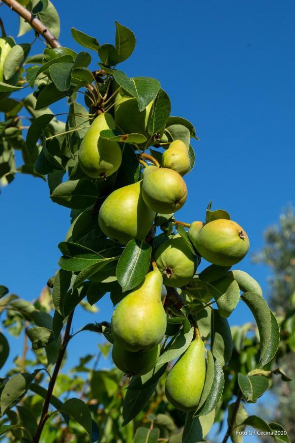 Appartamento Piccolo Eden Vada Esterno foto