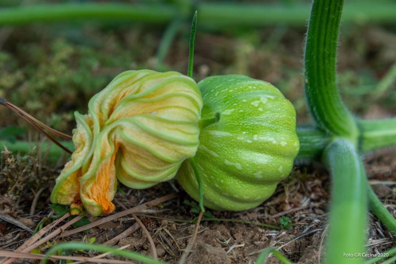 Appartamento Piccolo Eden Vada Esterno foto