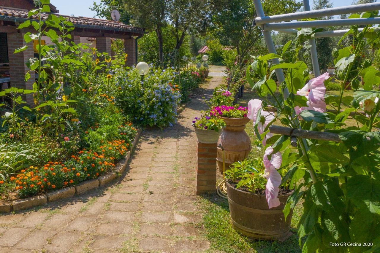 Appartamento Piccolo Eden Vada Esterno foto