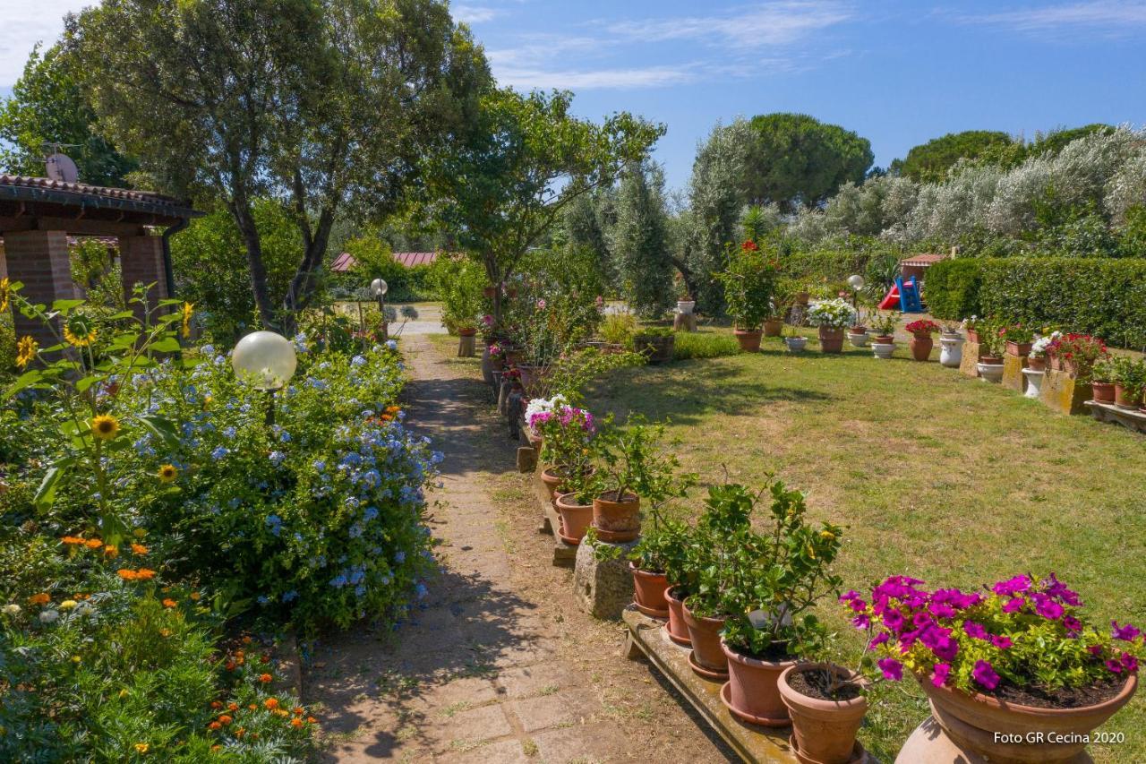 Appartamento Piccolo Eden Vada Esterno foto