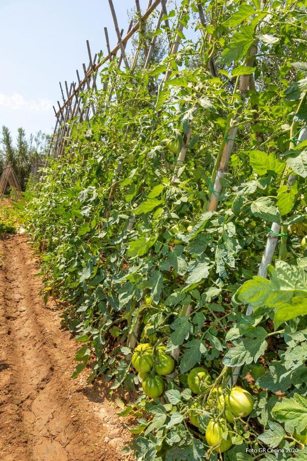 Appartamento Piccolo Eden Vada Esterno foto