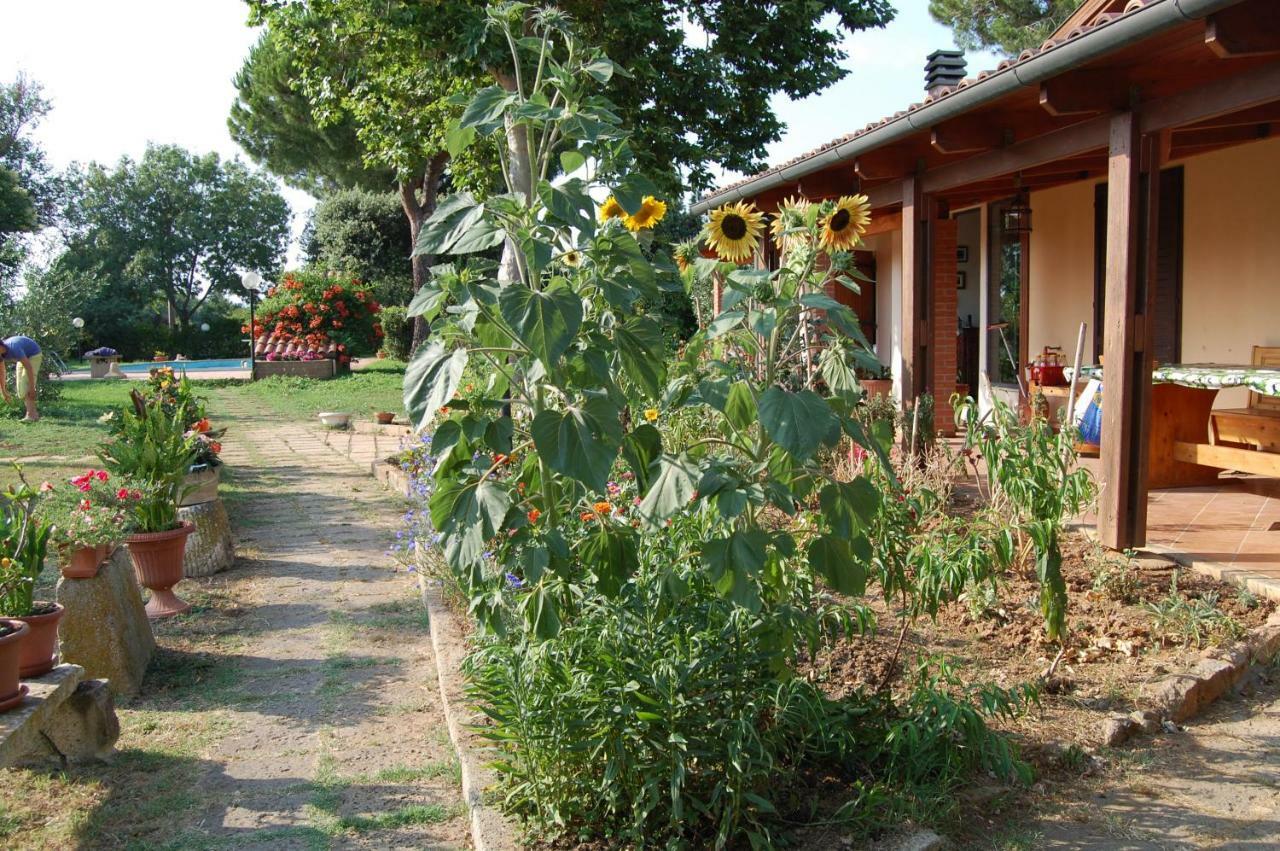 Appartamento Piccolo Eden Vada Esterno foto